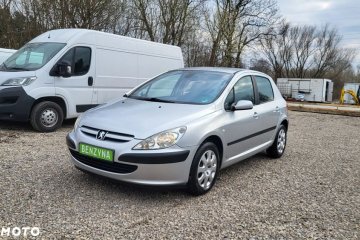 Peugeot 307 110 Epok